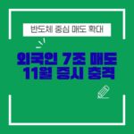 외국인 대규모 매도전환 한국증시 변동성 심화 요인은 무엇인가