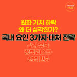 원화 약세 자산 분산 전략 지금 실행 안 하면 자산이 녹아내립니다