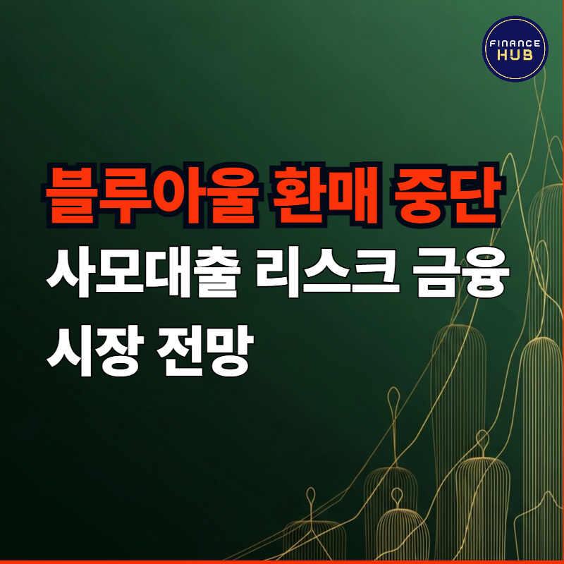 블루아울 환매 중단 사태