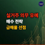 실거주 의무 유예 아파트 매수 전략