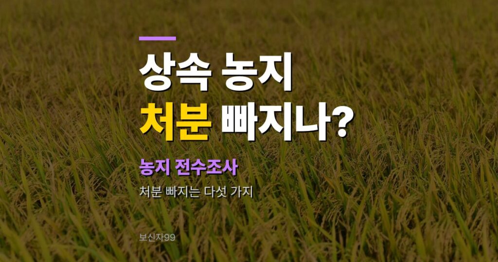 농지 전수조사 대상·처분 기준 2026, 상속 농지는 정말 빠지나