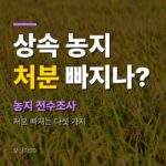농지 전수조사 대상·처분 기준 2026, 상속 농지는 정말 빠지나